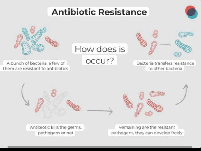 Title: What Every New Mom Needs to Know About Antibiotic Resistance!
