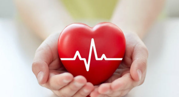 Heart Strong: A Woman’s Guide to Cardiovascular Health After 40!