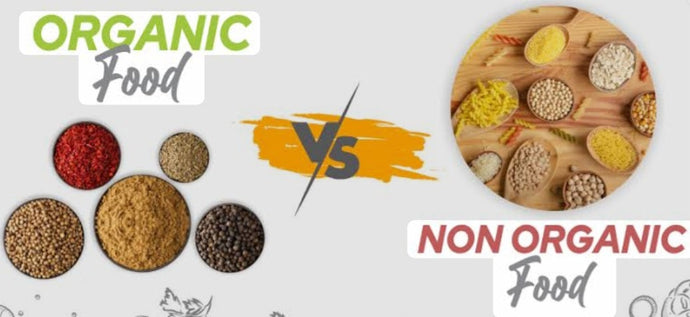 Organic vs. Non-Organic Food: A Women’s Wellness Perspective!